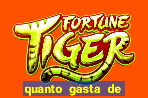 quanto gasta de gasolina de bh a porto seguro
